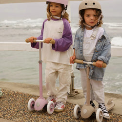 BANWOOD Roller - Eco Lavender