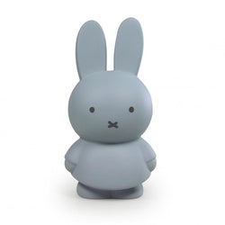 Pokladnička MIFFY "M" Silver Blue | Stylové doplňky pro děti a ženy | Lavly.cz